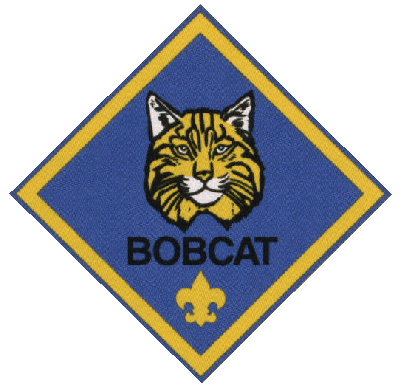 bobcat badge