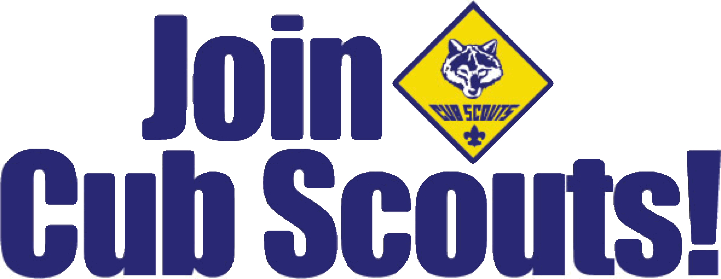 Join Scouts GIF